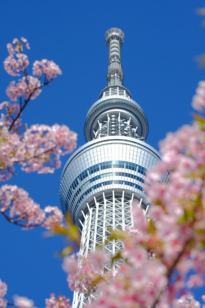 2. 東京近郊でのキャリア形成